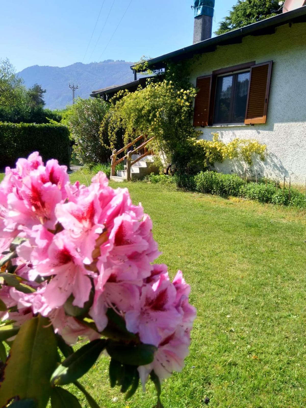 Villa Anna Sorico Esterno foto
